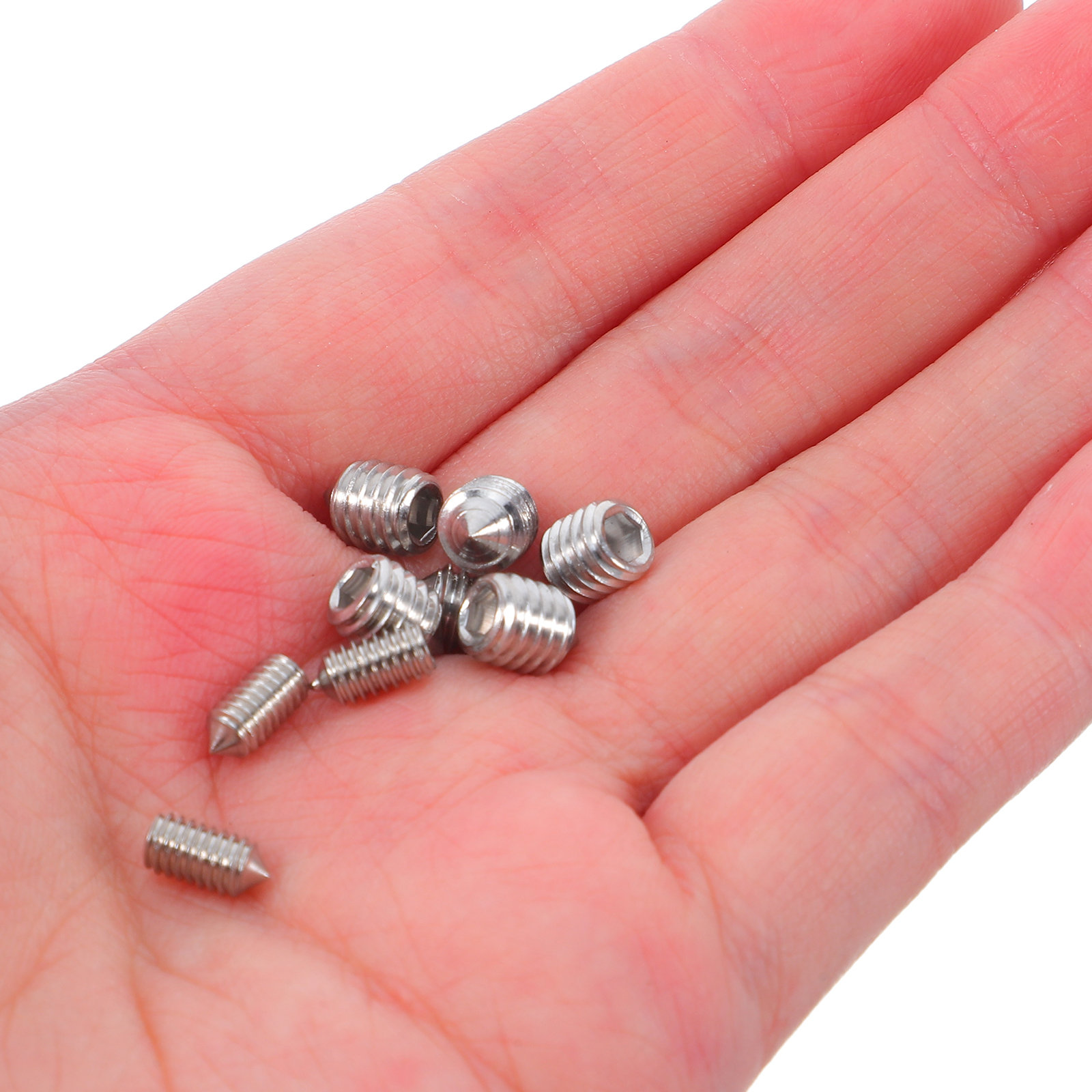 20pcs Towel Rack Screws Stainl – обзор и цена Screw Organizer Kit
